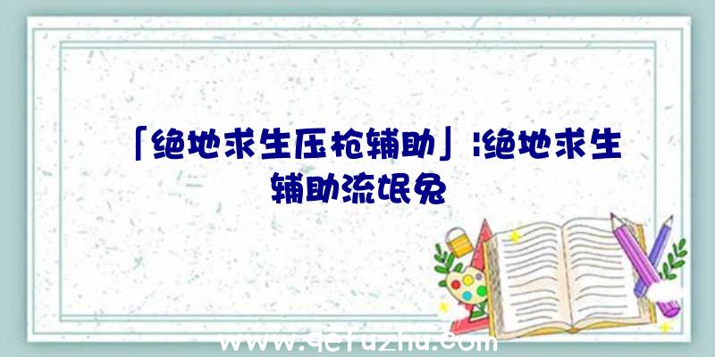 「绝地求生压枪辅助」|绝地求生辅助流氓兔